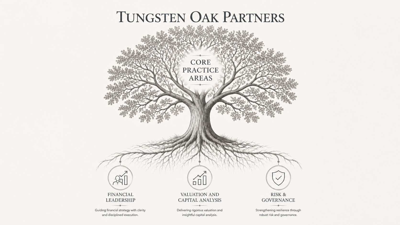 Tungsten Oak Partners core practice areas: financial leadership, valuation and capital analysis, and risk and governance
